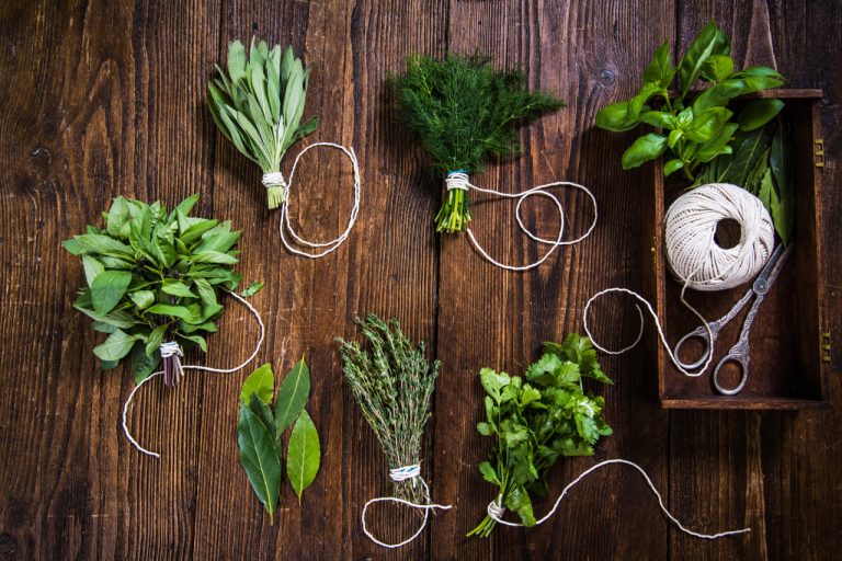 Seasonal Herb Gardening in the City